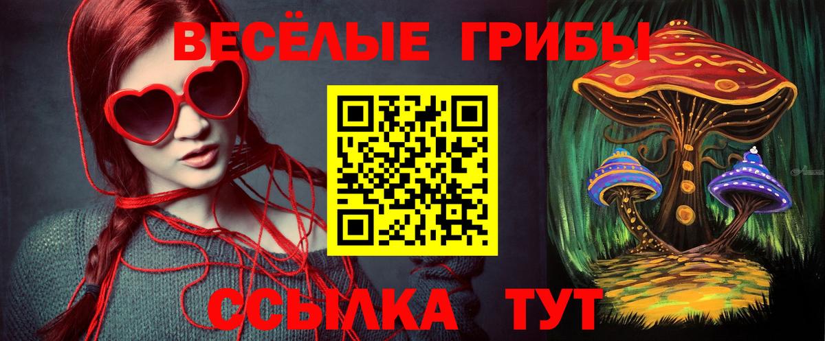Псилоцибиновые грибы ЛСД Ейск